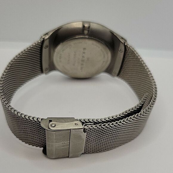 Skagen 956XLTTW Women\'s Stainless Steel Analog Silver Dial Quartz Watch AM766 main image 4